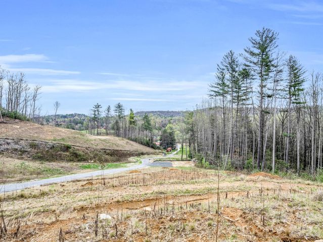 97 Yale Road, Hendersonville, NC 28739