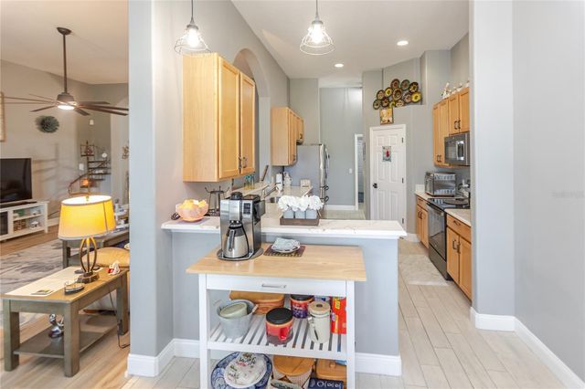 3971 BRAEMERE DRIVE, Spring Hill, FL 34609