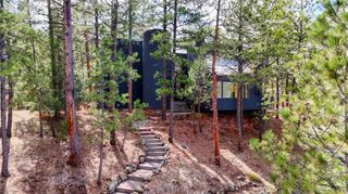 4966 Delaware Drive, Larkspur, CO 80118