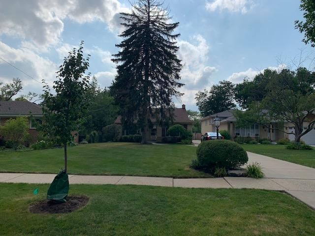 634 Babetta Avenue, Park Ridge, IL 60068