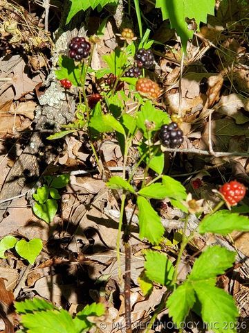 12386 W 81st Street S, Sapulpa, OK 74066