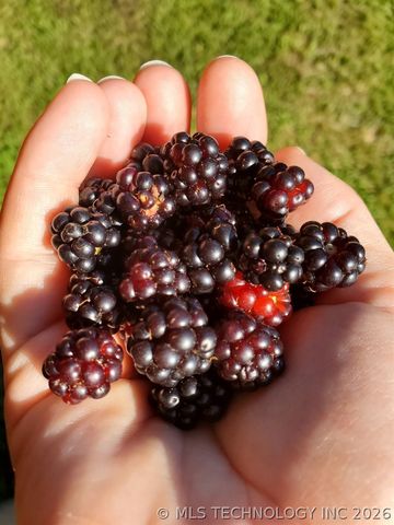 12386 W 81st Street S, Sapulpa, OK 74066