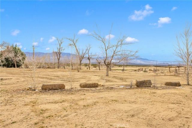 47424 Paddington, Landers, CA 92285