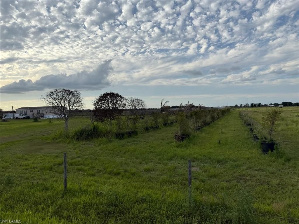 5360 3rd RD, LABELLE, FL 33935 — photo 4