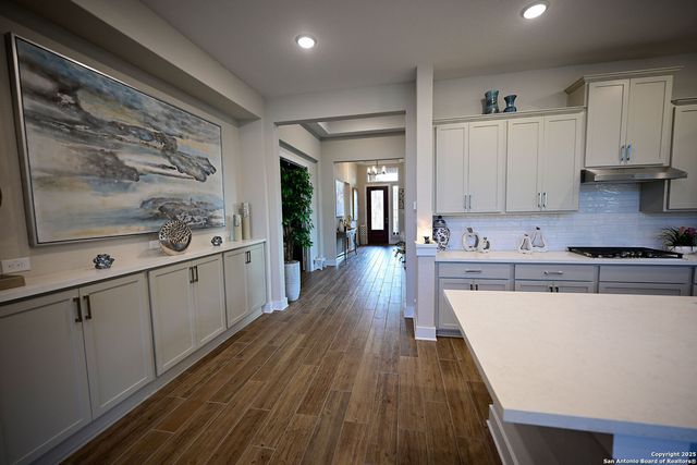 24822 RESORT PKWY, San Antonio, TX 78261