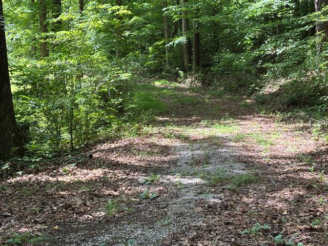251 Old State Road, London, KY 40744
