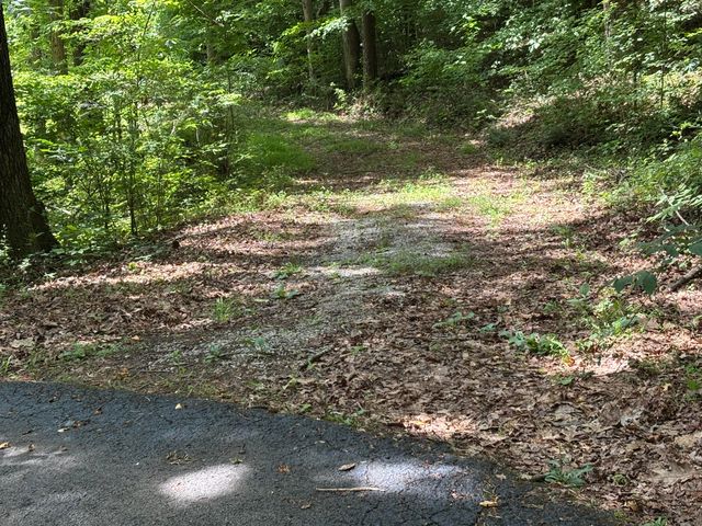 251 Old State Road, London, KY 40744