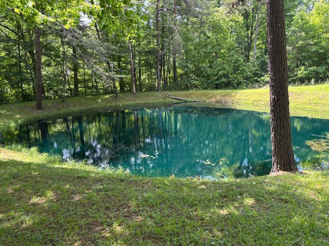 251 Old State Road, London, KY 40744