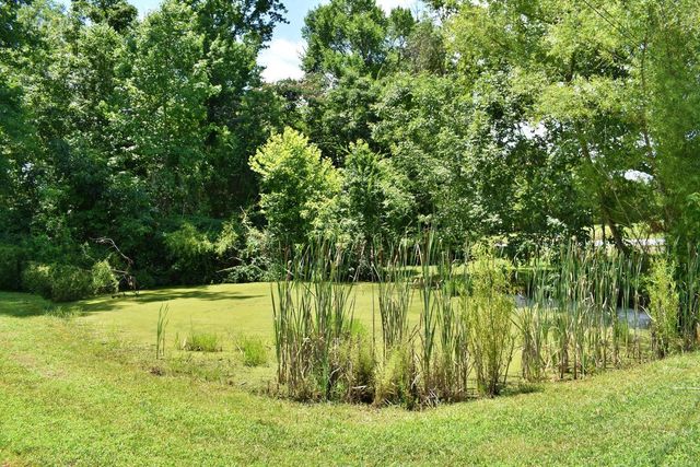 5858 Wolf Creek Road, Spring City, TN 37381