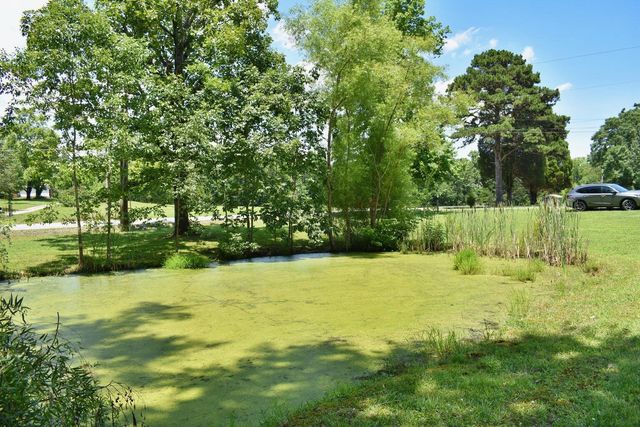 5858 Wolf Creek Road, Spring City, TN 37381