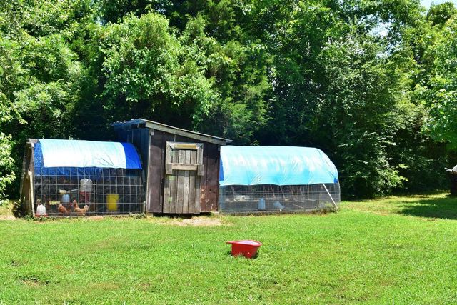 5858 Wolf Creek Road, Spring City, TN 37381