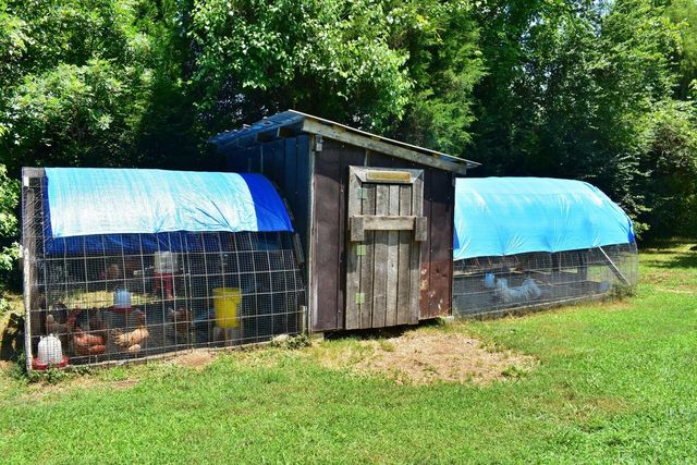 5858 Wolf Creek Road, Spring City, TN 37381