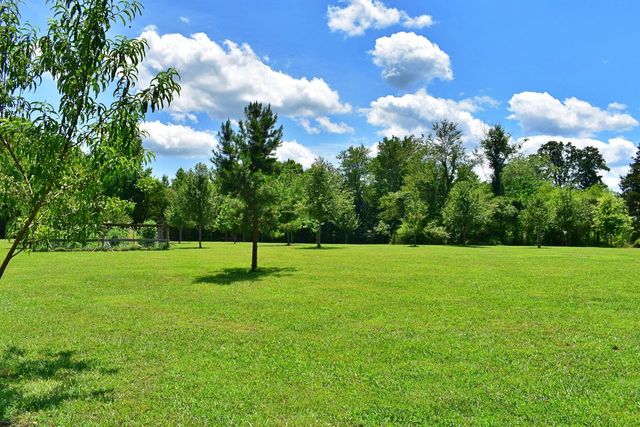 5858 Wolf Creek Road, Spring City, TN 37381