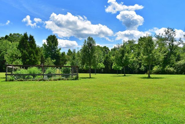 5858 Wolf Creek Road, Spring City, TN 37381