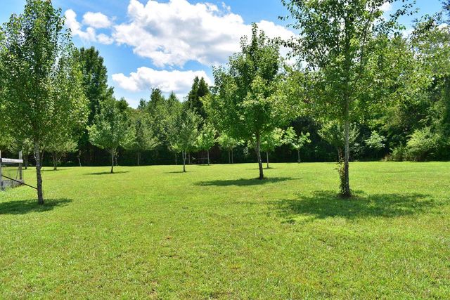 5858 Wolf Creek Road, Spring City, TN 37381