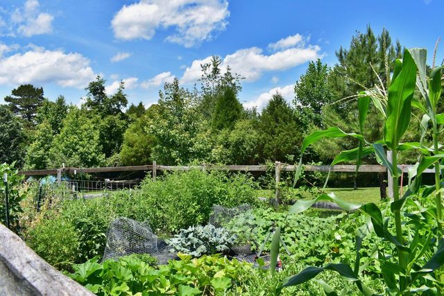 5858 Wolf Creek Road, Spring City, TN 37381