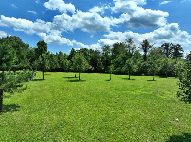 5858 Wolf Creek Road, Spring City, TN 37381