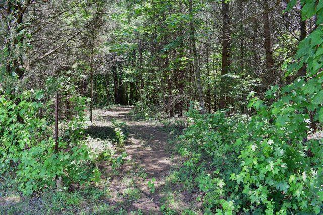 5858 Wolf Creek Road, Spring City, TN 37381