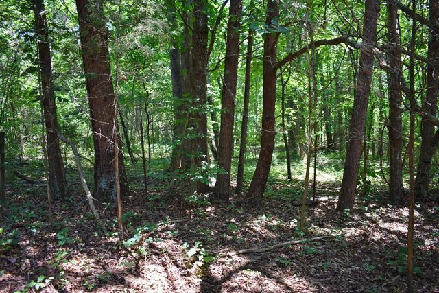 5858 Wolf Creek Road, Spring City, TN 37381