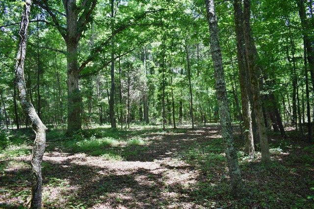 5858 Wolf Creek Road, Spring City, TN 37381