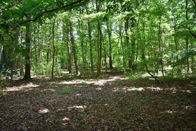 5858 Wolf Creek Road, Spring City, TN 37381