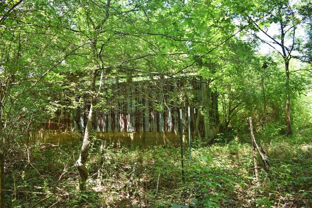 5858 Wolf Creek Road, Spring City, TN 37381