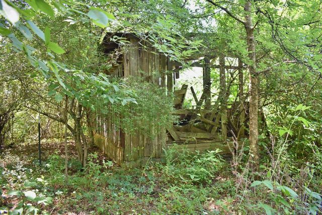 5858 Wolf Creek Road, Spring City, TN 37381