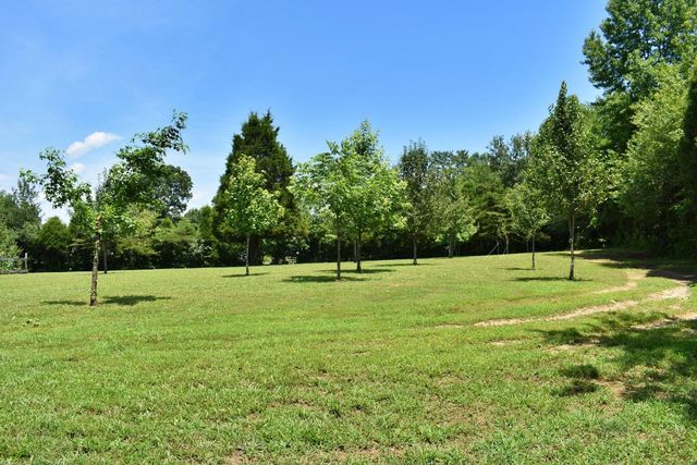 5858 Wolf Creek Road, Spring City, TN 37381