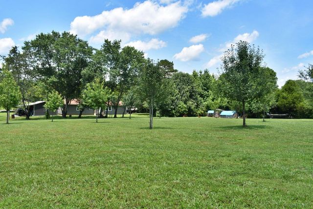 5858 Wolf Creek Road, Spring City, TN 37381