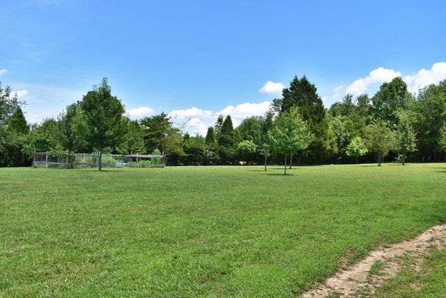5858 Wolf Creek Road, Spring City, TN 37381