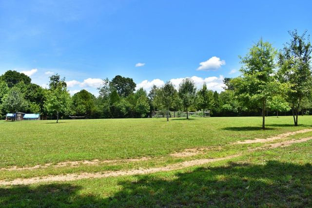 5858 Wolf Creek Road, Spring City, TN 37381
