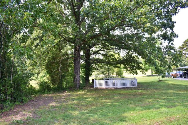 5858 Wolf Creek Road, Spring City, TN 37381