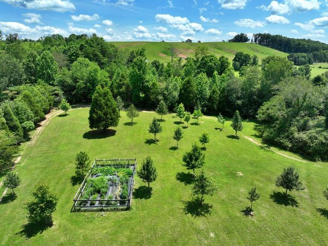 5858 Wolf Creek Road, Spring City, TN 37381