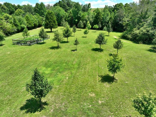 5858 Wolf Creek Road, Spring City, TN 37381
