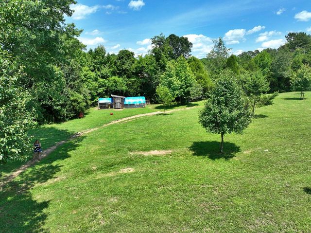 5858 Wolf Creek Road, Spring City, TN 37381