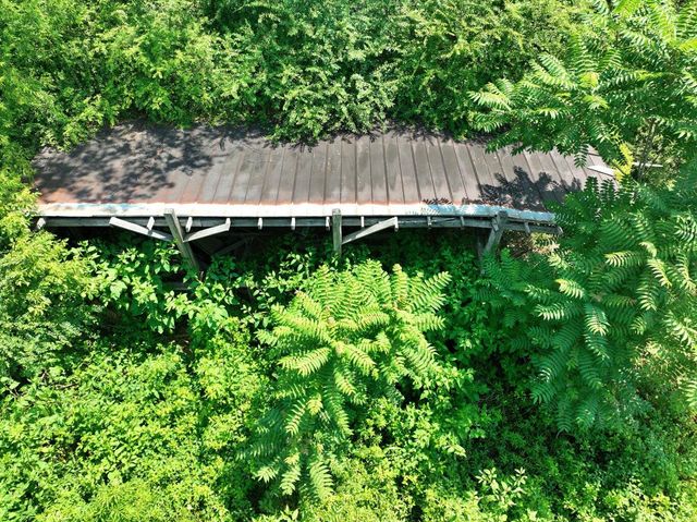 5858 Wolf Creek Road, Spring City, TN 37381