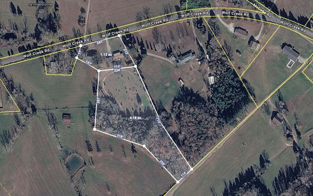 5858 Wolf Creek Road, Spring City, TN 37381