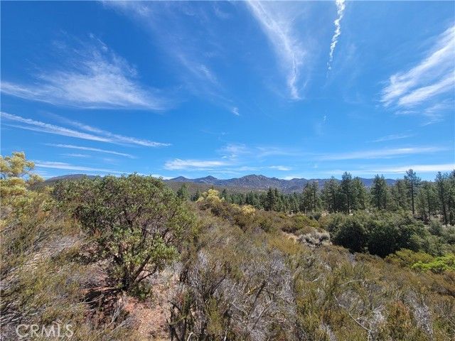 0 Tule Peak, Anza, CA 92539
