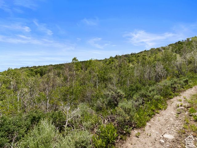 4891 S WOODLAND WAY, Kamas, UT 84036