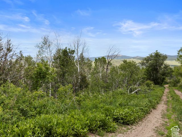 4891 S WOODLAND WAY, Kamas, UT 84036
