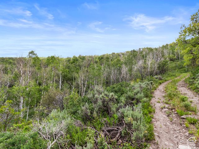 4891 S WOODLAND WAY, Kamas, UT 84036