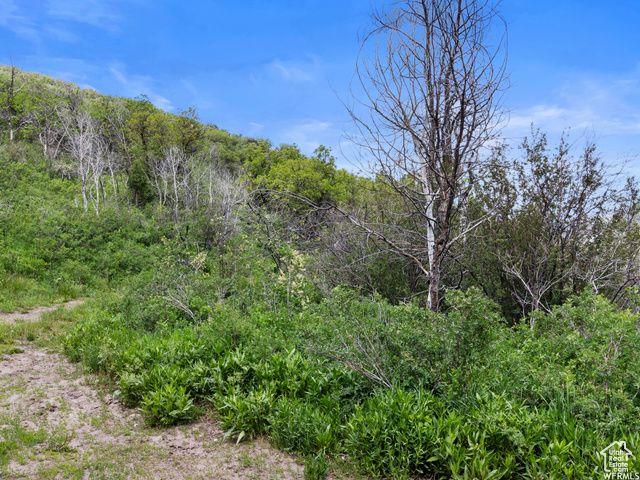 4891 S WOODLAND WAY, Kamas, UT 84036