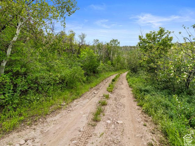 4891 S WOODLAND WAY, Kamas, UT 84036