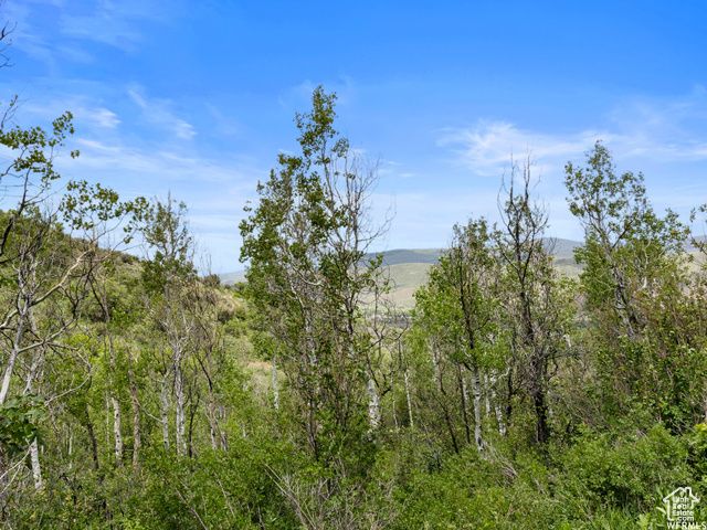 4891 S WOODLAND WAY, Kamas, UT 84036