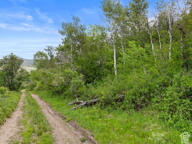 4891 S WOODLAND WAY, Kamas, UT 84036