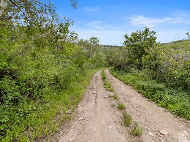 4891 S WOODLAND WAY, Kamas, UT 84036