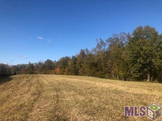 1093 Poydras Bayou Dr, Port Allen, LA 70767