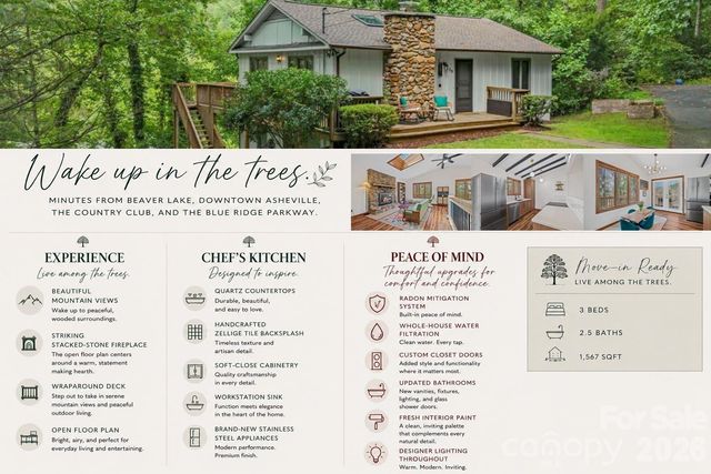 39 Spooks Branch Extension, Asheville, NC 28804