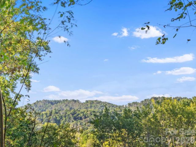 39 Spooks Branch Extension, Asheville, NC 28804