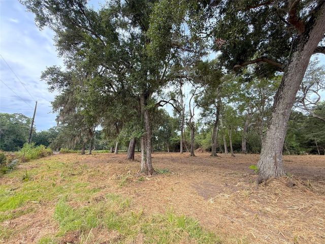 Lot 12A1 Cr 345, Brazoria, TX 77422